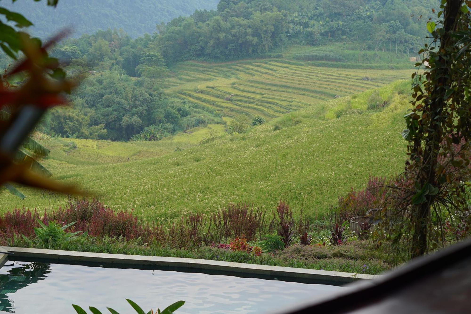 Nhà Trệt Puluong Natura Pu Luong Ngoại thất bức ảnh