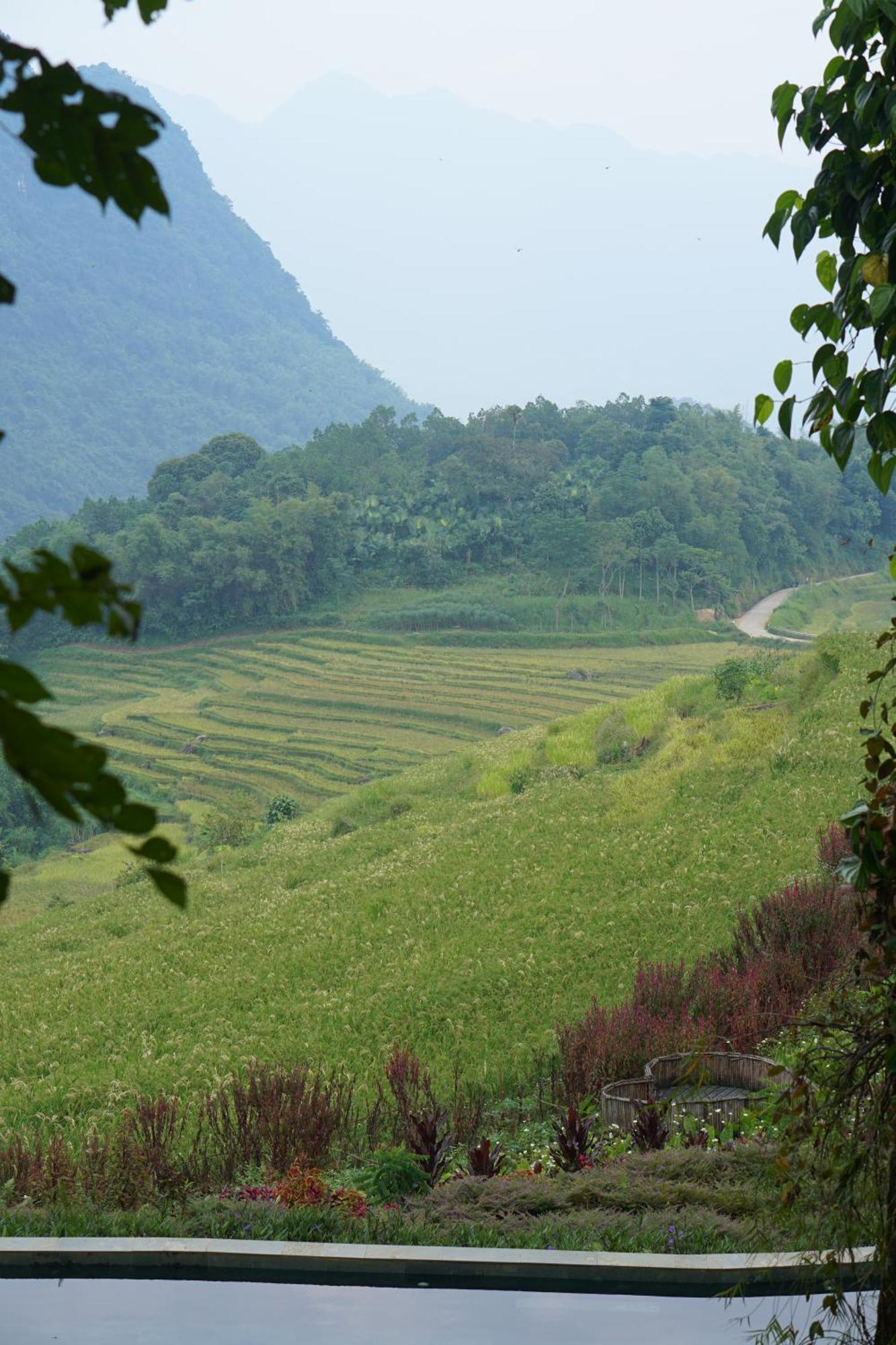 Nhà Trệt Puluong Natura Pu Luong Ngoại thất bức ảnh